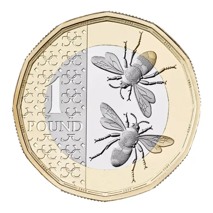 2025 £1 ONE POUND honeybee  RARE LOW MINTAGE KING CHARLES UNC BEES COIN FROM A 