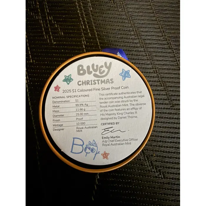 Bluey Christmas 