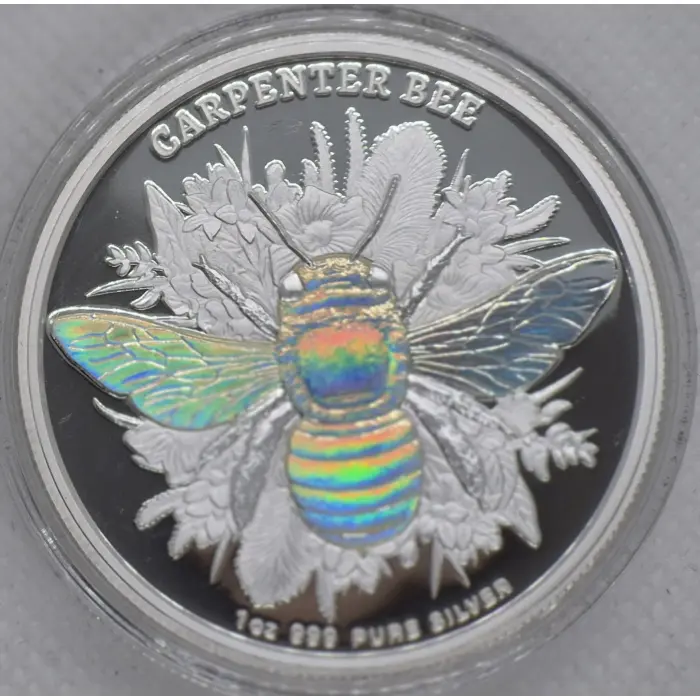 2026 Native Bees 🐝 Carpenter Bee