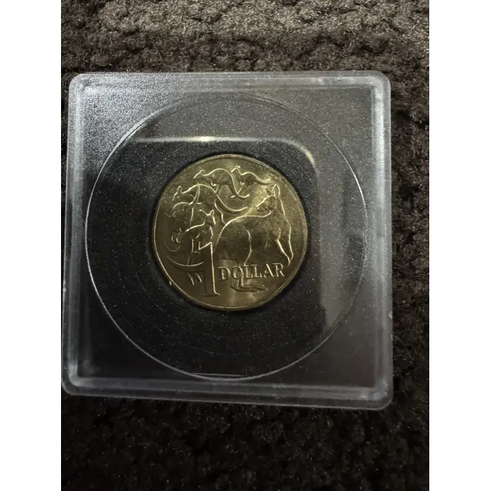 Circulated 6 Mob of Roos 1$ coin