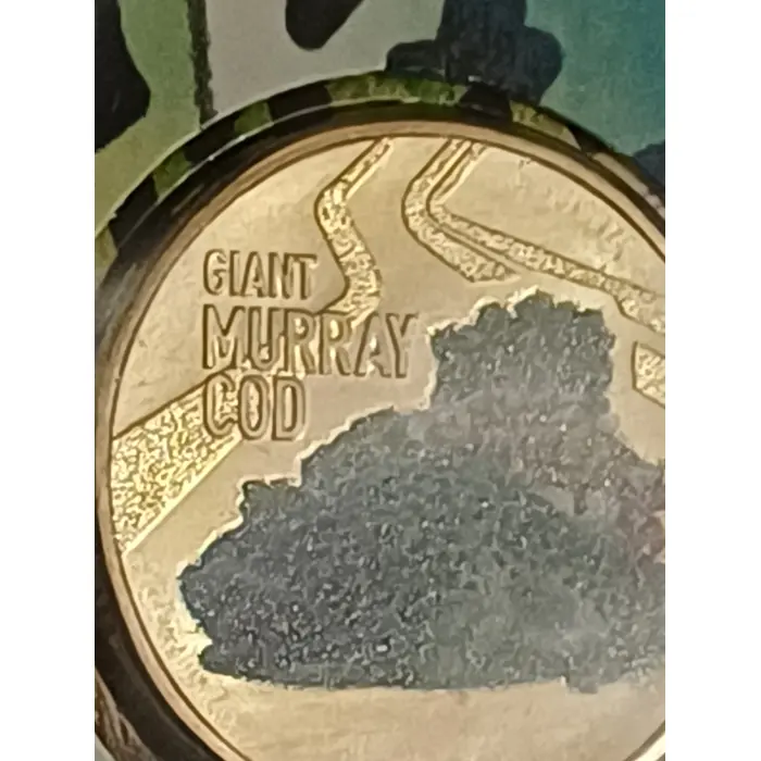 Australia Impressions 2023 PNC Giant Murray Cod Coloured Coin 