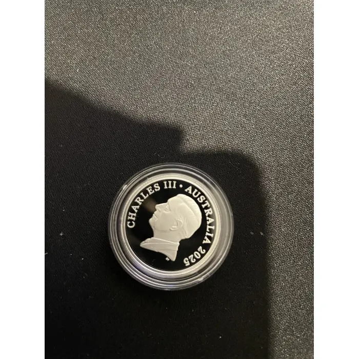 2025 bluey Christmas 1silver $1 proof Coin in display bauble coloured tin 
