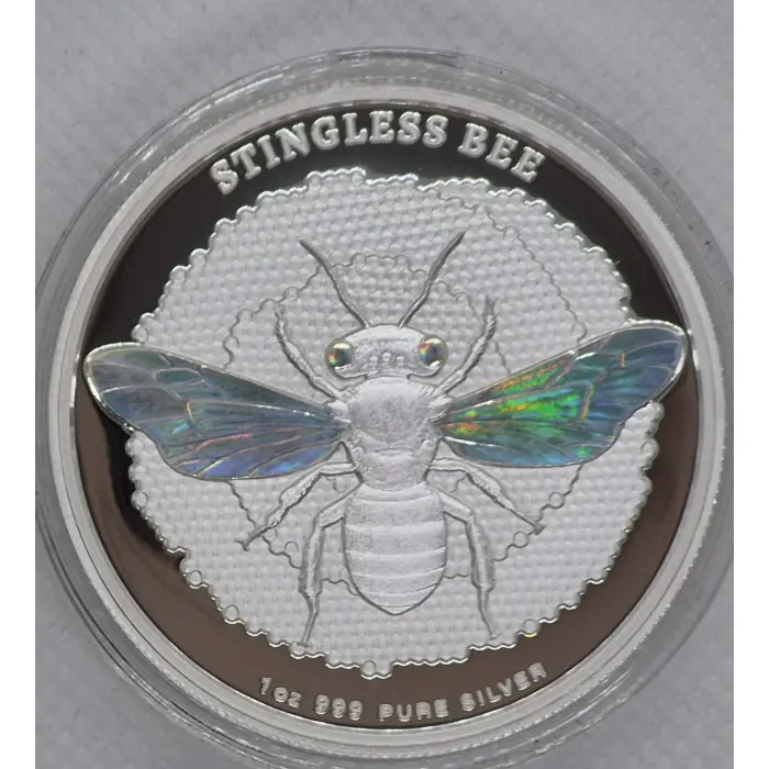 2026 Native Bees 🐝  Stingless Bee