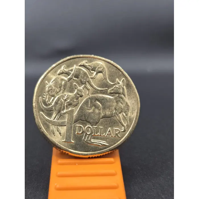 2025 $1 Coin King Charles Mob of Roos  with King Charles Hair Cud