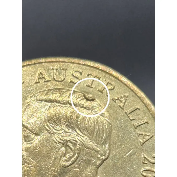 2025 $1 Coin King Charles Mob of Roos  with King Charles Hair Cud