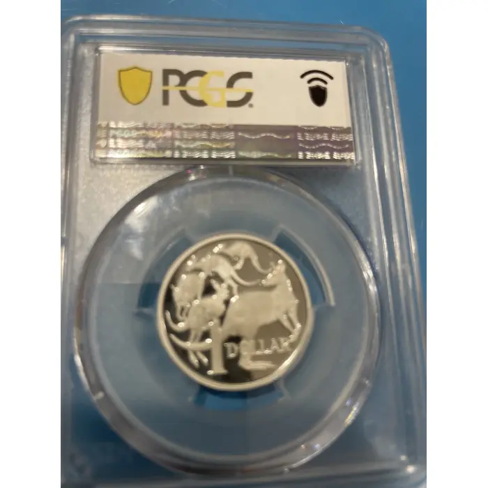 1990 silver proof one dollar coin