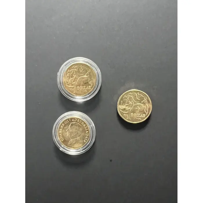 2026 Mob of 6 Roos (Capsule and 2x2 flip)