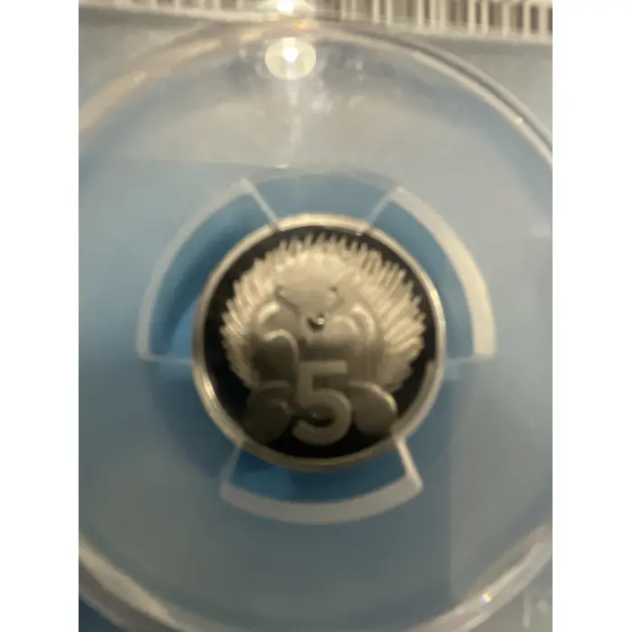 Wooden echidna babysit 2023