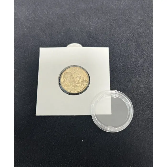 2011 Standard Aboriginal Elder  *LOWEST MINTAGE CURRENTLY RECORDED*