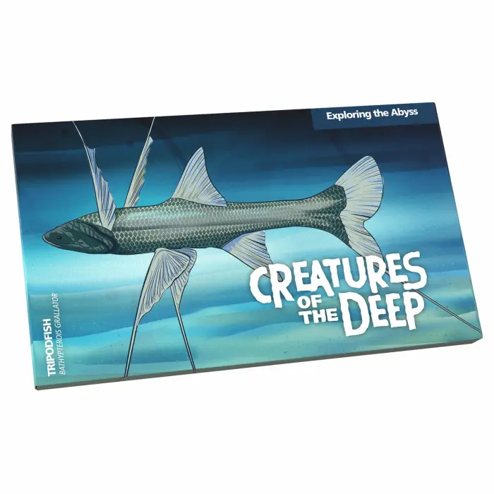 (NB) Creatures of the Deep - $1 Mintmark and Privy Mark Set collectable 4 coins