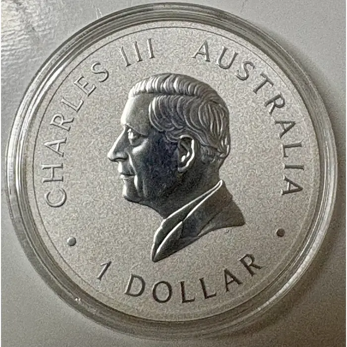 2025 Koala - Perth Mint 1oz Brilliant Uncirculated 9999 Silver Coin