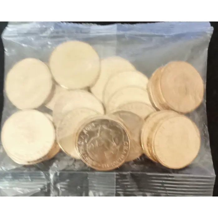 2024 Bluey Dollar Bucks 