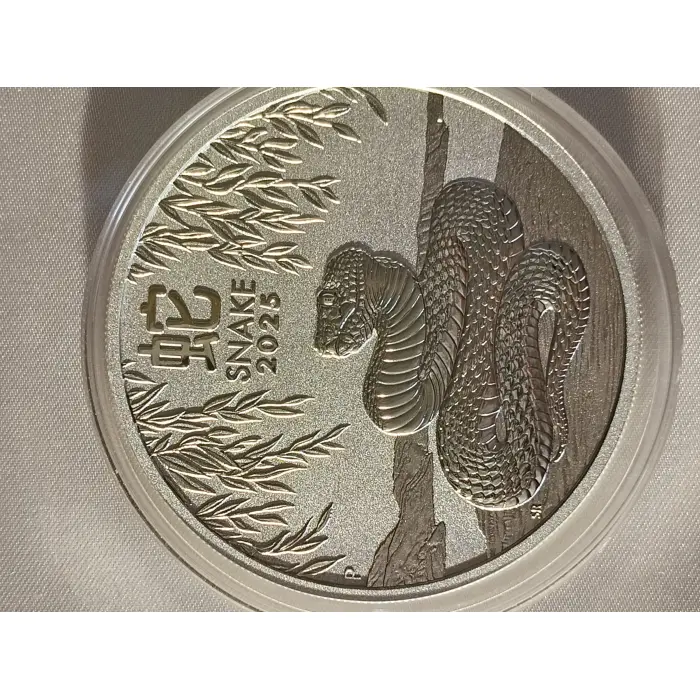 2025 Year of the snake Perth Mint 1oz silver coin