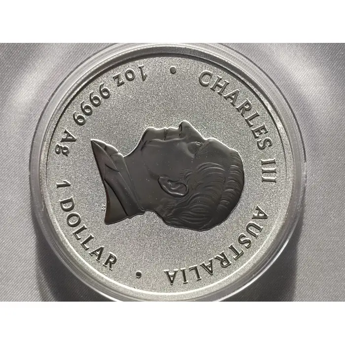 2025 Year of the snake Perth Mint 1oz silver coin
