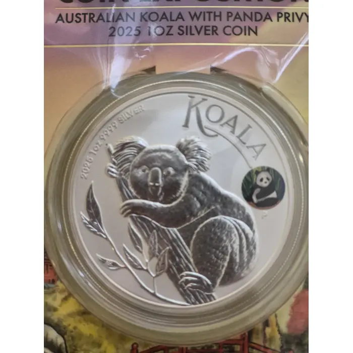 2025 Australian Koala Beijing International 