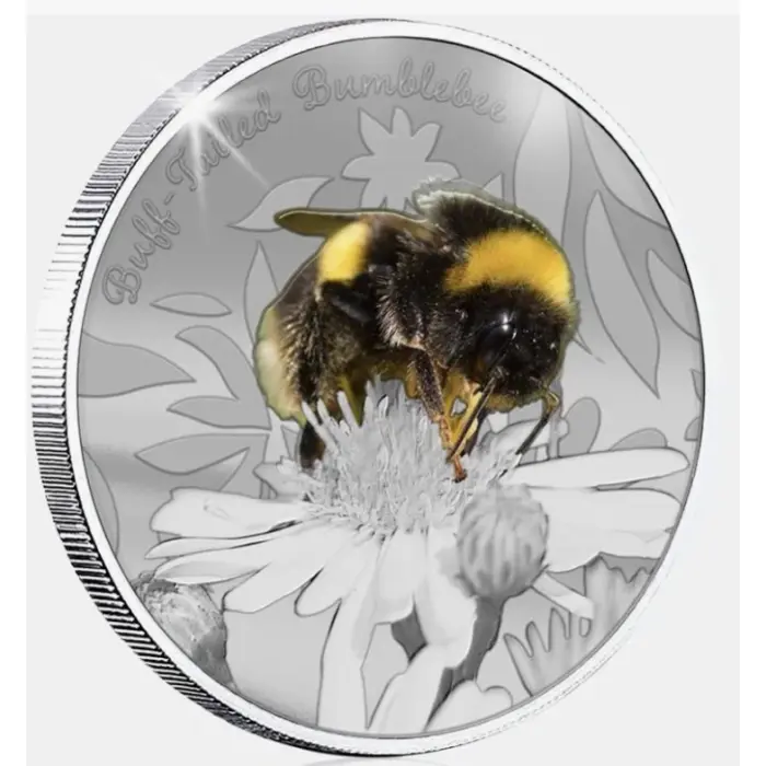 British Wildlife Buff Tailed Bumblebee Silver Plated BU Commemorative