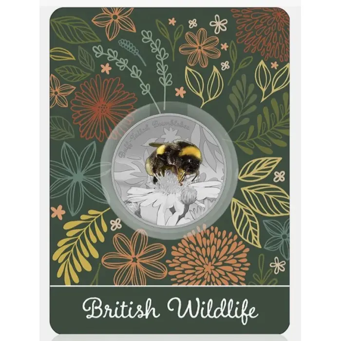 British Wildlife Buff Tailed Bumblebee Silver Plated BU Commemorative