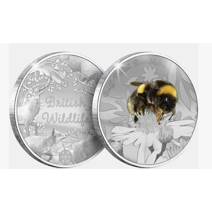British Wildlife Buff Tailed Bumblebee Silver Plated BU Commemorative