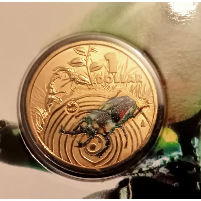 Stag Beetle