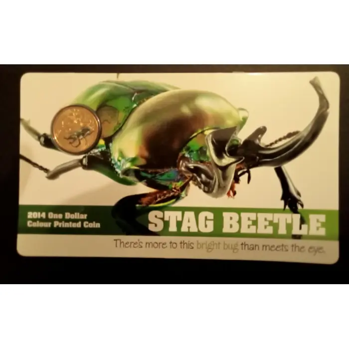 Stag Beetle