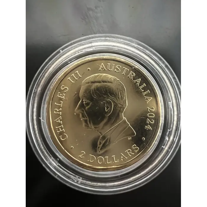 2024 Purple Poppy UNC