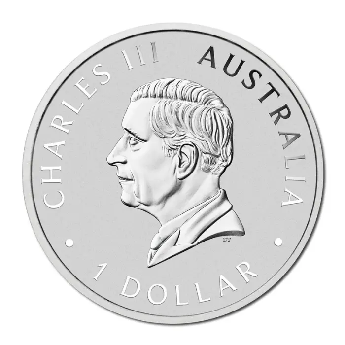 2026 Money Expo ANDA Special Australian Swan 1oz Silver Coloured Proof Coin P10