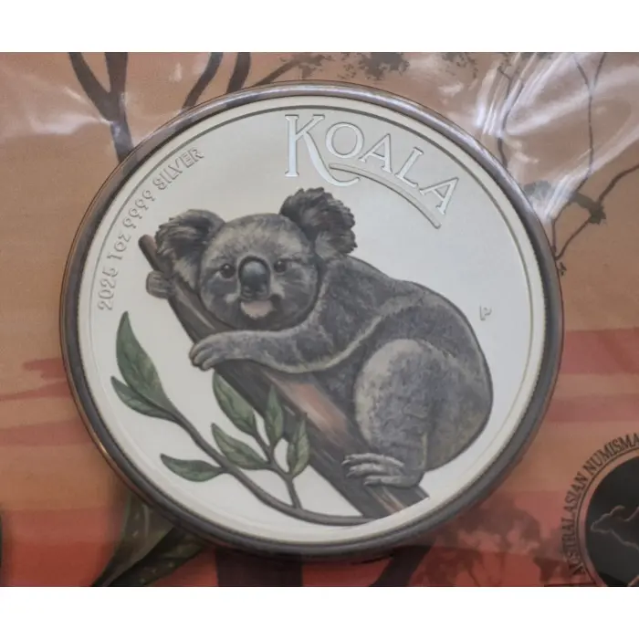 2025 Australian Koala 🐨  ANDA Brisbane 