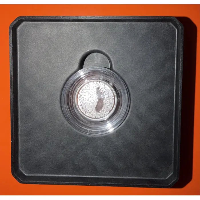 2021 Footprints in Time – 1/2oz Silver Proof Coin