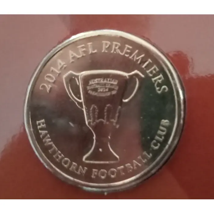 Hawthorn Premiers 2014