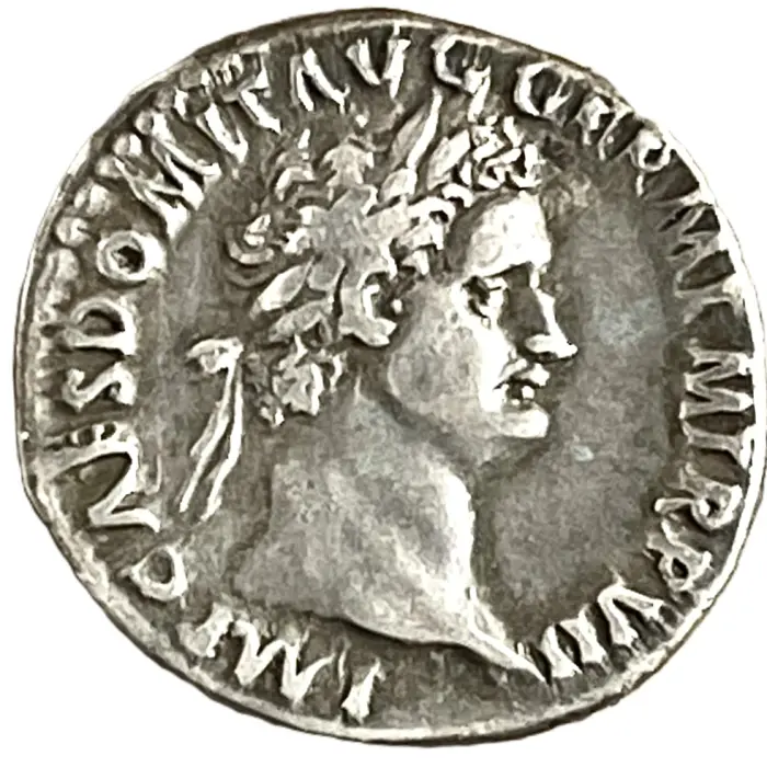 ROMAN Domitian (81-96 AD) denarius ( S2731) gVF
