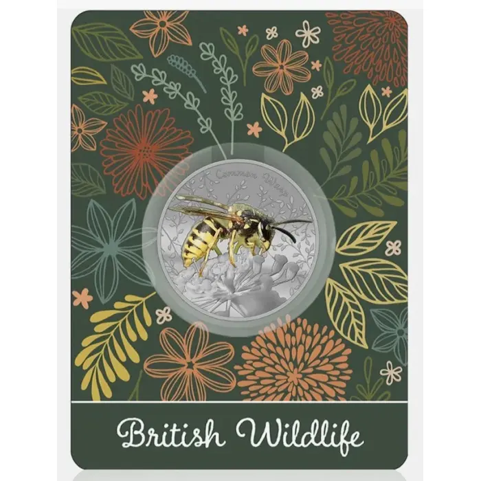 British Wildlife Common Wasp Silver Plated BU Commemorative