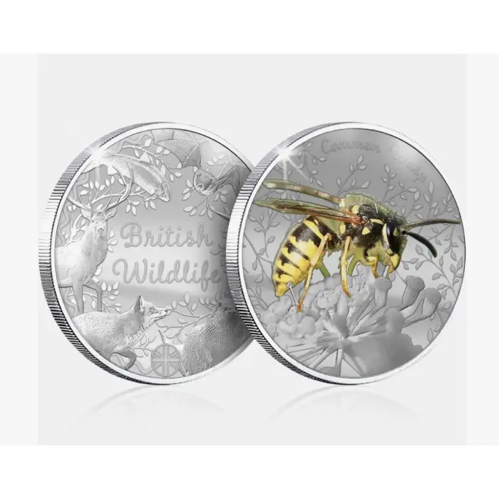 British Wildlife Common Wasp Silver Plated BU Commemorative