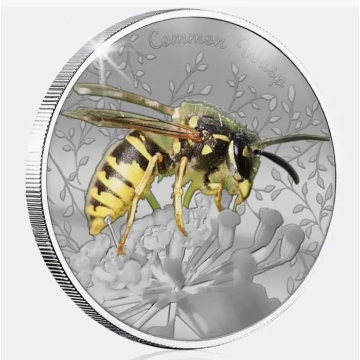 British Wildlife Common Wasp Silver Plated BU Commemorative