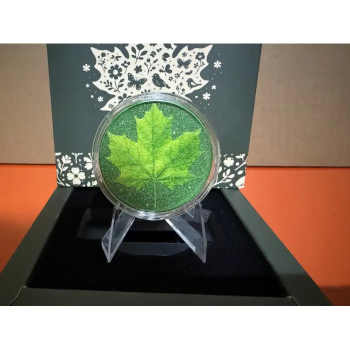 Copper Spring Maple