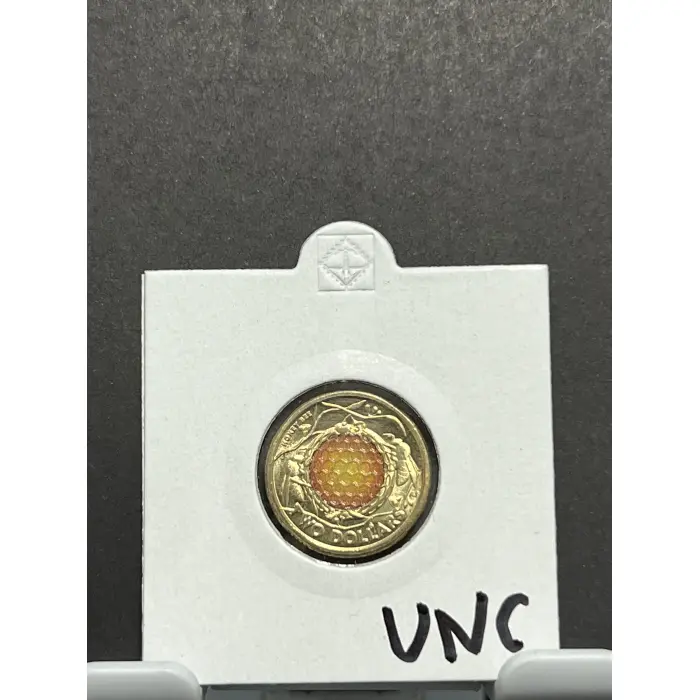 UNC Honey bee 2022