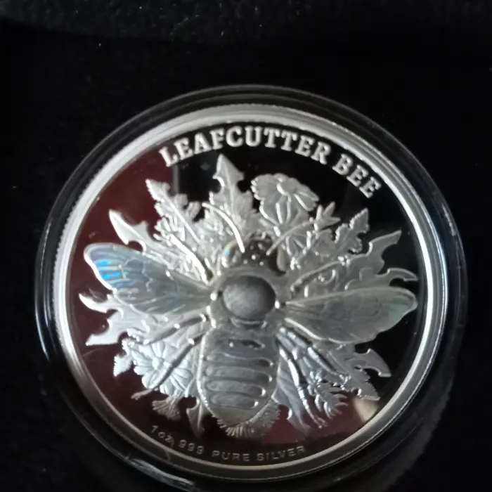  Australian Native Bee 