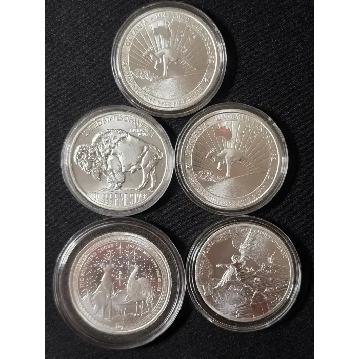 5 oz Pure Silver Round Lot – Zombucks, Mexican Libertad, ABC Mint & Buffalo