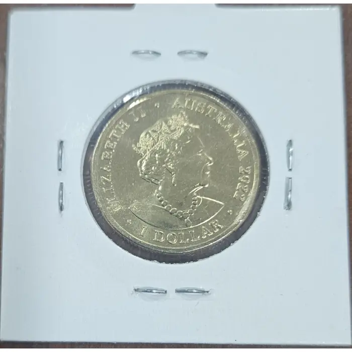 2022 COLOURED CRUX COIN