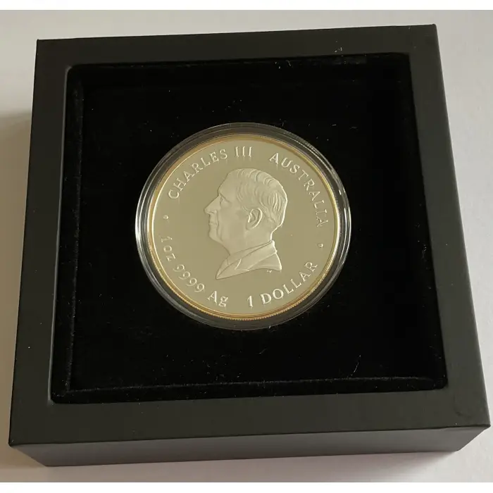 2026 HM QUEEN ELIZABETH 11 100th ANNIVERSARY 1oz SILVER PROOF GILDED COIN