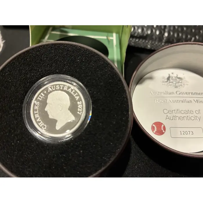 2026 Bluey silver cricket ball 
