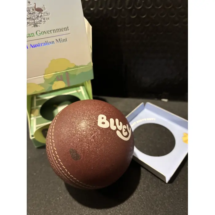 2026 Bluey silver cricket ball 