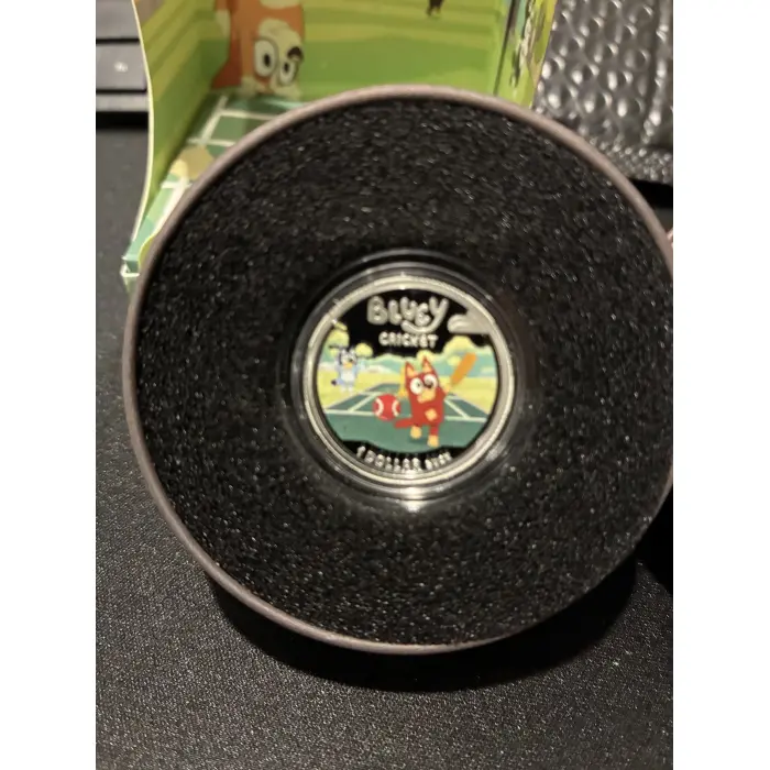 2026 Bluey silver cricket ball 