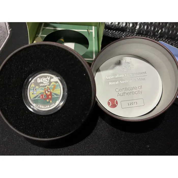 2026 Bluey silver cricket ball 