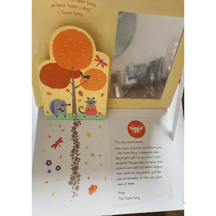 Tooth Fairy Set