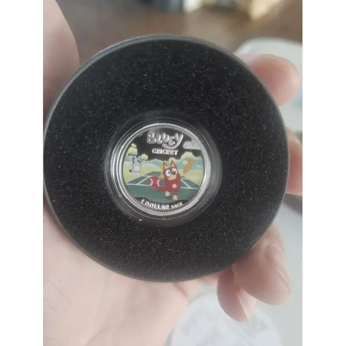 2027 Bluey cricket ball 