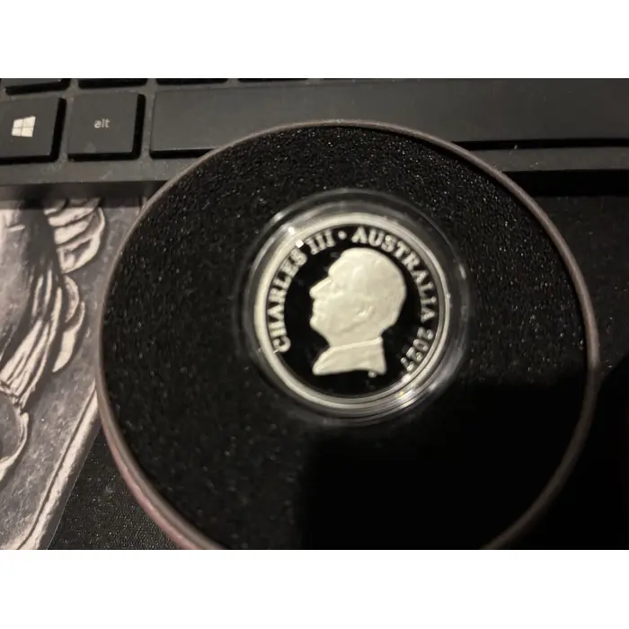 2027 Bluey cricket silver coin 1 dollar 